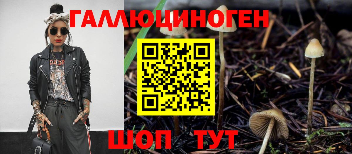 Псилоцибиновые грибы мицелий Волхов